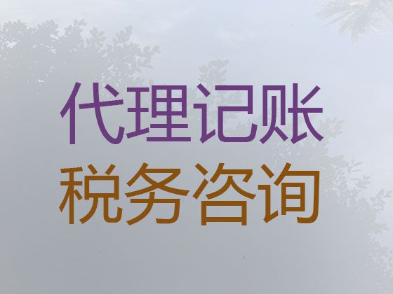 海南中小企业代理记账服务-会计服务公司，费用透明