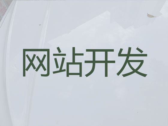 莆田市专业网站建设优化-短视频制作，高端网站开发设计