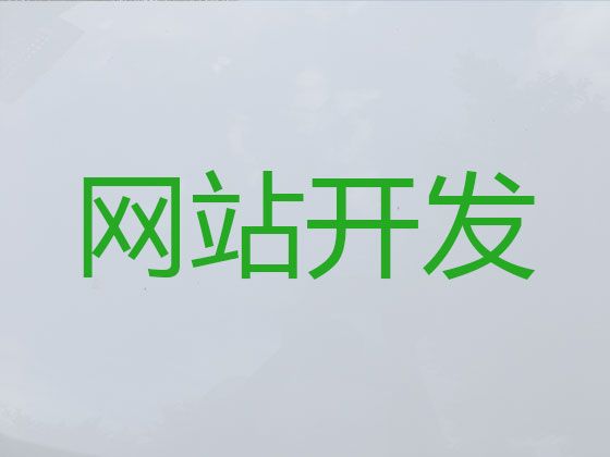 南阳市专业网站建设公司-高效获客软件，小程序开发