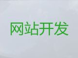南阳市专业网站建设公司-高效获客软件，小程序开发