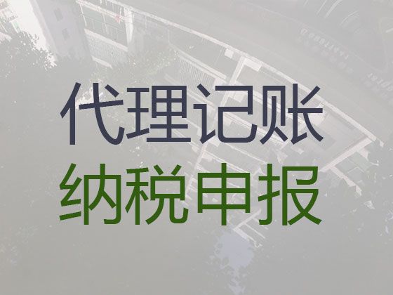 海南财务代理公司-资质办理