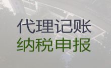 三亚市会计服务代理-专业财税公司，避免财税风险