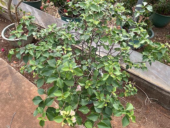 甘油三酯高不用急着吃药！每周150分钟有氧运动，3个月平均降30%