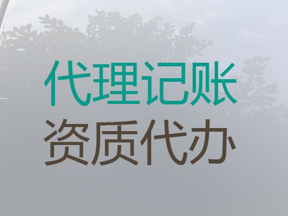 海口市小公司代记账-公司注册，资质代办