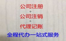 乐东县记账报税服务|代办个体工商户，不成功不收费