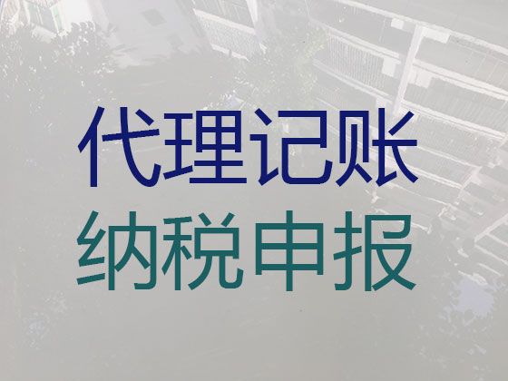 定安县代理记账全程代办-工商注册，一站式服务