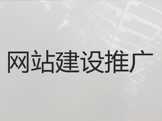 海南独立网站建设-网站推广，多年专业建站经验