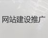 海南独立网站建设-网站推广，多年专业建站经验