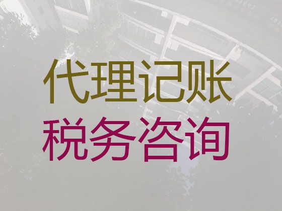 三亚市会计服务公司代理记账-正规会计服务公司