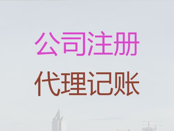 儋州市税务筹划-注册公司费用及流程，专业代办，这里靠谱