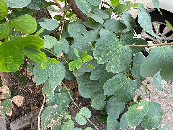 2026年自有住房装修过程中须注意的关键节点有哪些？