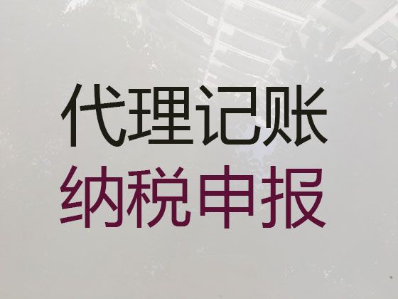 乐东县财务外包服务-本地正规财税公司