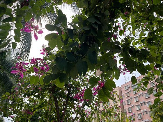 除了情怀，如今的国货产品在品质上有哪些具体突破？