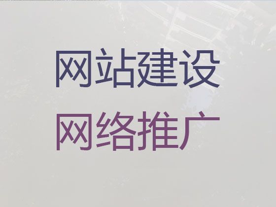 玉树网站制作设计服务-SEO网络推广，多年专业建站经验