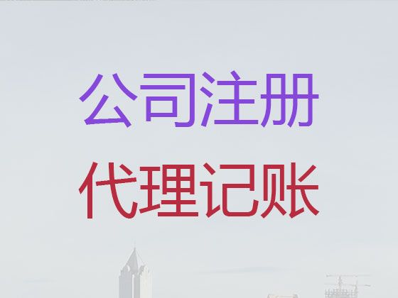 定安县代办营业执照|记账报税，经验丰富，不成功不收费