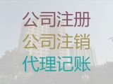 海口市代记账财务公司-会计公司，一站式财税服务