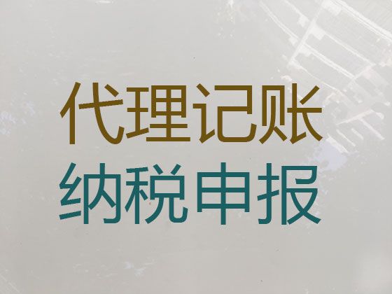 海口市专业记账报税服务-正规财务代理公司