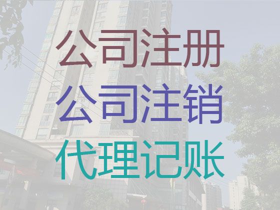 澄迈县专业财务记账公司-本地财税公司，费用透明