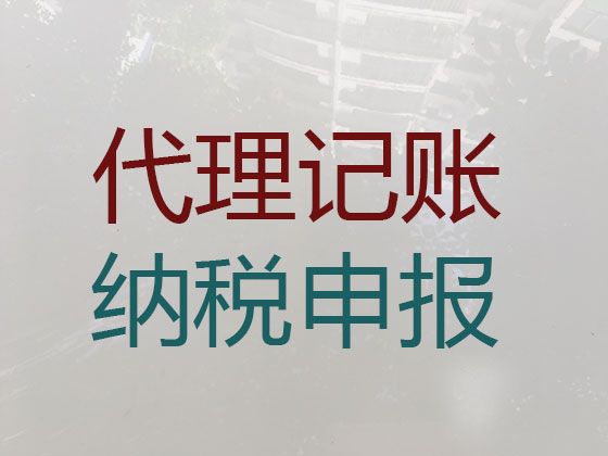 海口市财税代理记账公司-企业内审年审查账