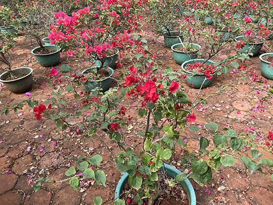 突然“饭量大增却消瘦”？可能不是消化好，是糖尿病早期的“能量代谢异常”信号