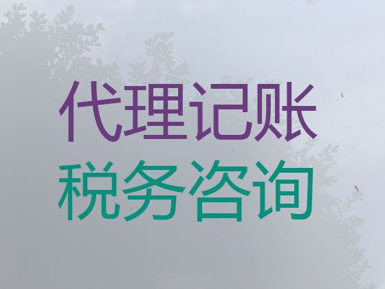 无锡市代记账财务公司-代办公司执照