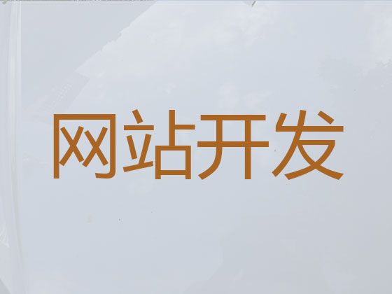 福州市网站定制服务公司-短视频运营推广，一站式服务