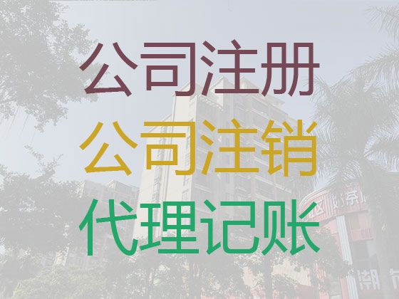 乐东县小企业代记账-让企业经营更简单