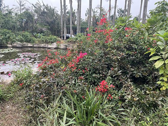 商业贷款转公积金贷款条件放宽，哪些人受益？