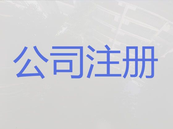 定安县公司注销代办|营业执照注册代办，专业代办，这里靠谱