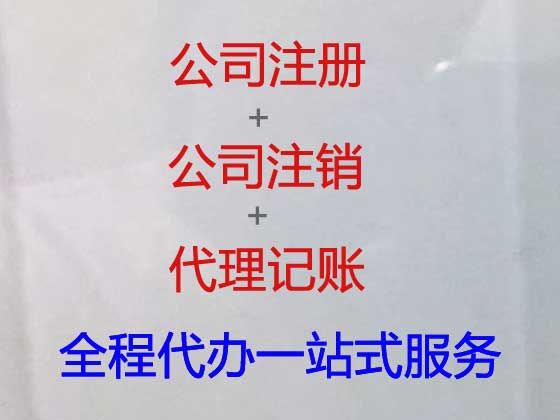 安庆市会计代理记账公司|本地会计服务公司