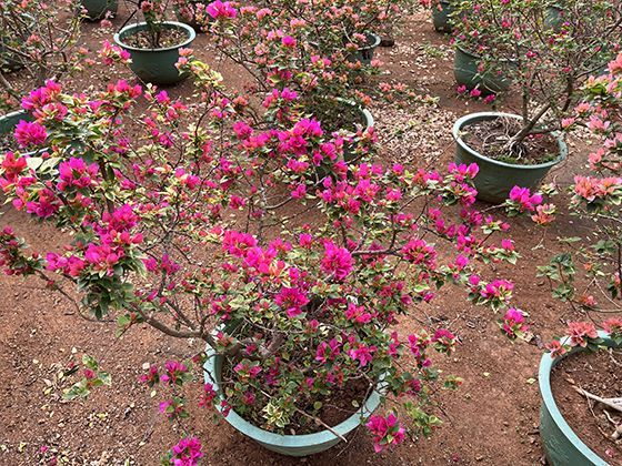 未来是否会出现根据停车需求动态调整价格的“浮动费率”？