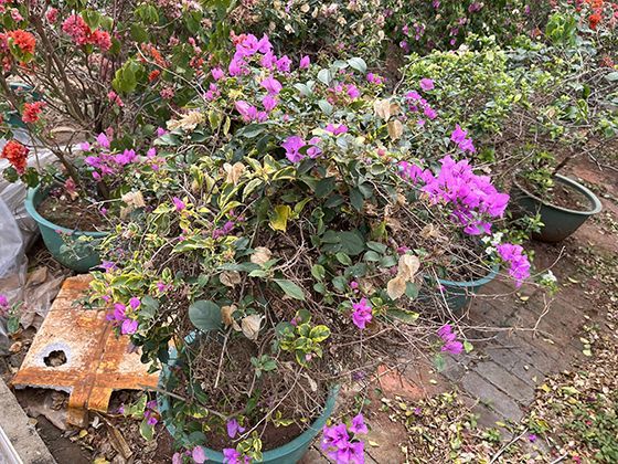 如果对某次人脸识别的结果不认可，个人可以通过什么渠道去申请复核？