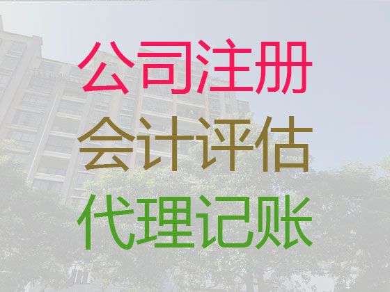 临高县会计服务公司代记账-本地财税公司，专业靠谱