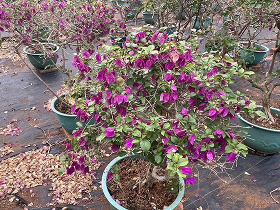 零基础转行人工智能领域，哪些培训项目可获得政府补贴？