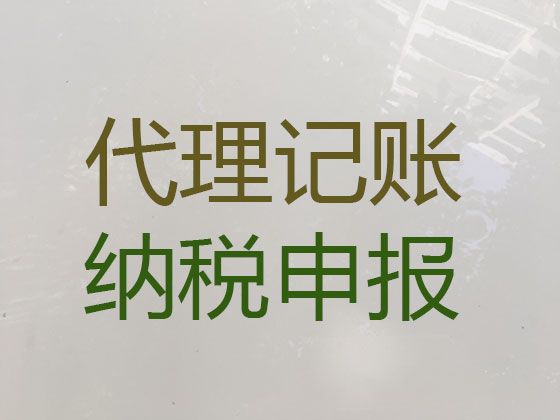 东方市记账报税正规公司-本地财务公司办理