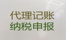 海南中小企业代理记账-本地财税公司，费用透明
