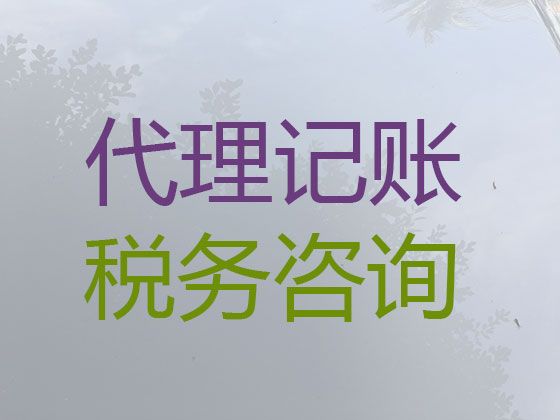 海南代理记账多少钱一个月-正规会计公司