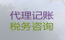 海口市财务外包服务-本地正规公司