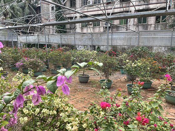 加密货币背后的区块链技术在实际产业中的应用场景有哪些？