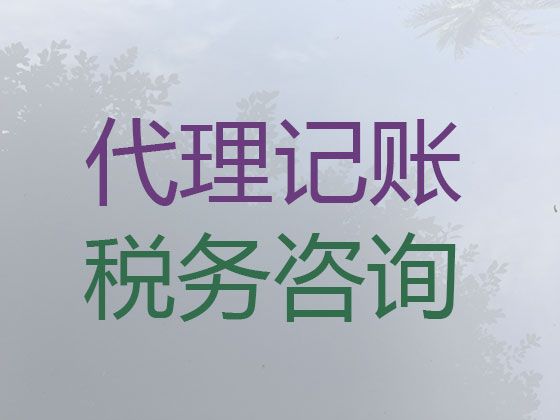 屯昌县记账报税-本地财务公司，费用透明