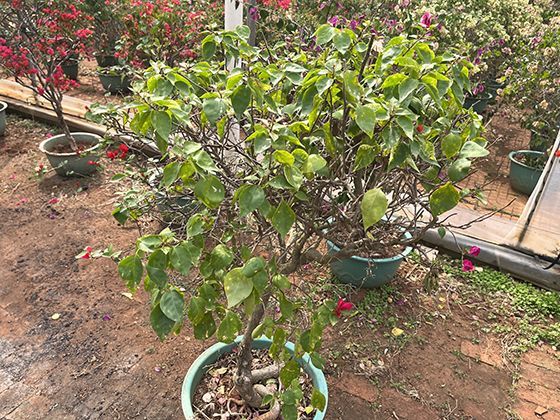 糖尿病早期“乏力”vs普通疲劳：前者休息后不缓解，还伴随“饥饿但吃不多”