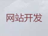上海市网站优化推广公司-AI数字人直播带货，专业建站公司