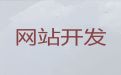 上海市网站优化推广公司-AI数字人直播带货，专业建站公司